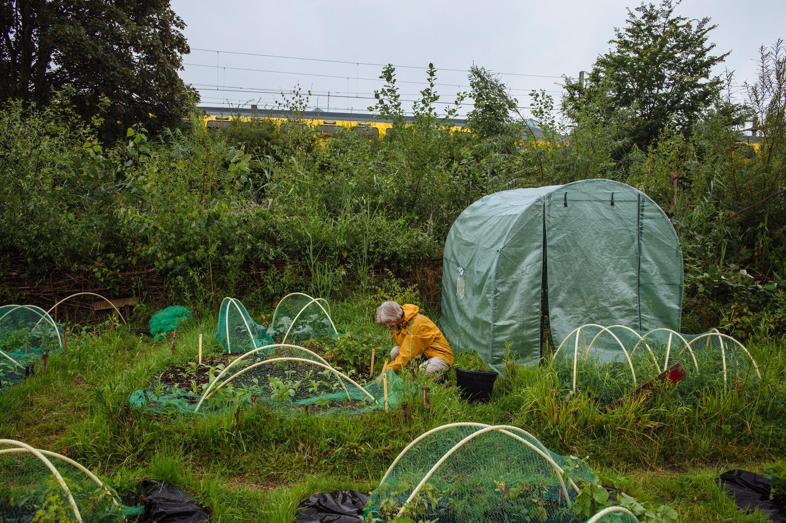 Gratis compost bij afvalpunten in Amsterdam | Het Parool