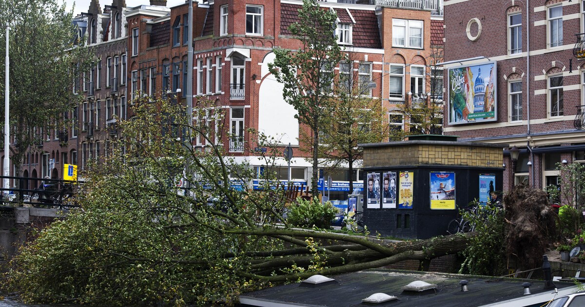 Herfststorm Op Komst | Het Parool