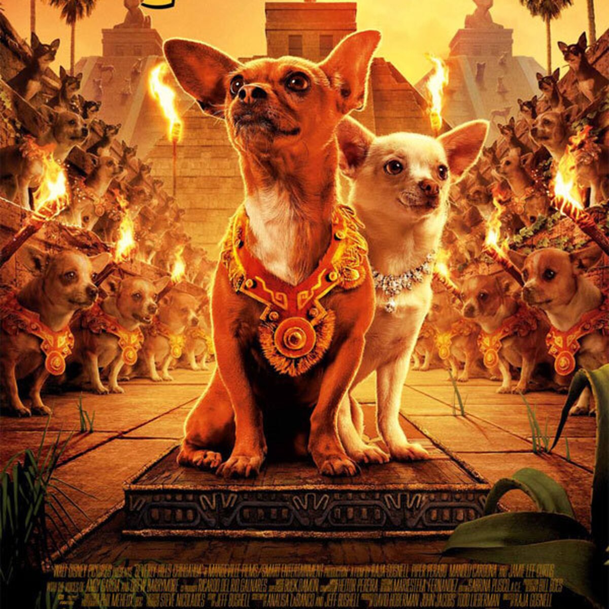 Chihuahua De Beverly Hills New On DVD: 'Beverly Hills Chihuahua' And