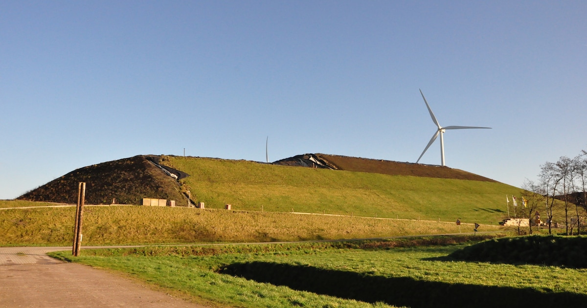 Te huur: Berg met uitzicht op de Amsterdamse haven