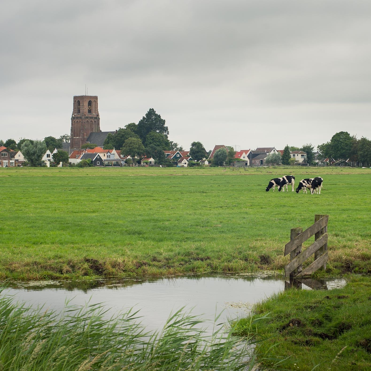 Het Amsterdam van radiopresentator Lara Rense | Het Parool
