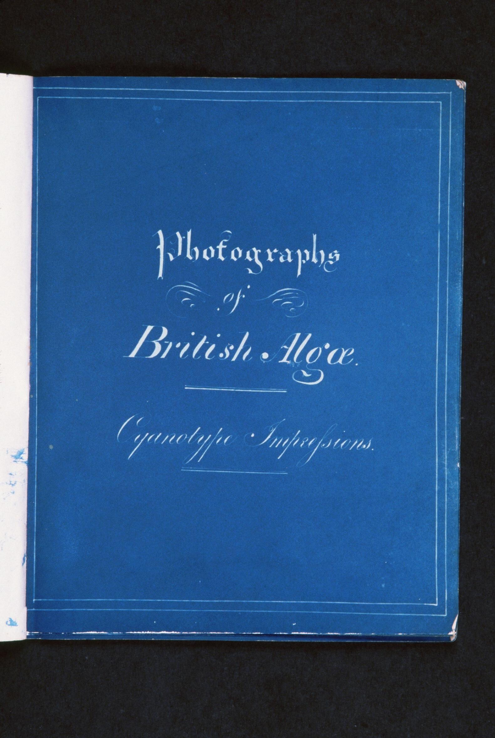 Rijksmuseum verwerft 'eerste fotoboek ooit gemaakt' | Het Parool