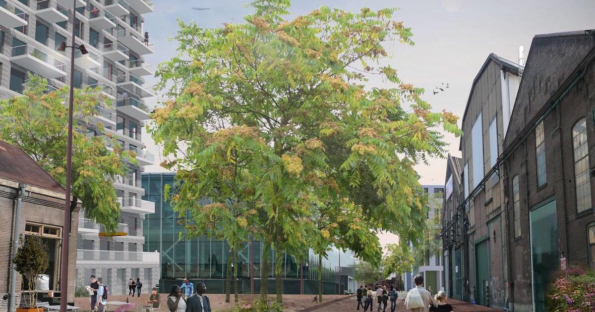 1500 woningen, maar weinig sociale huur op Oostenburg