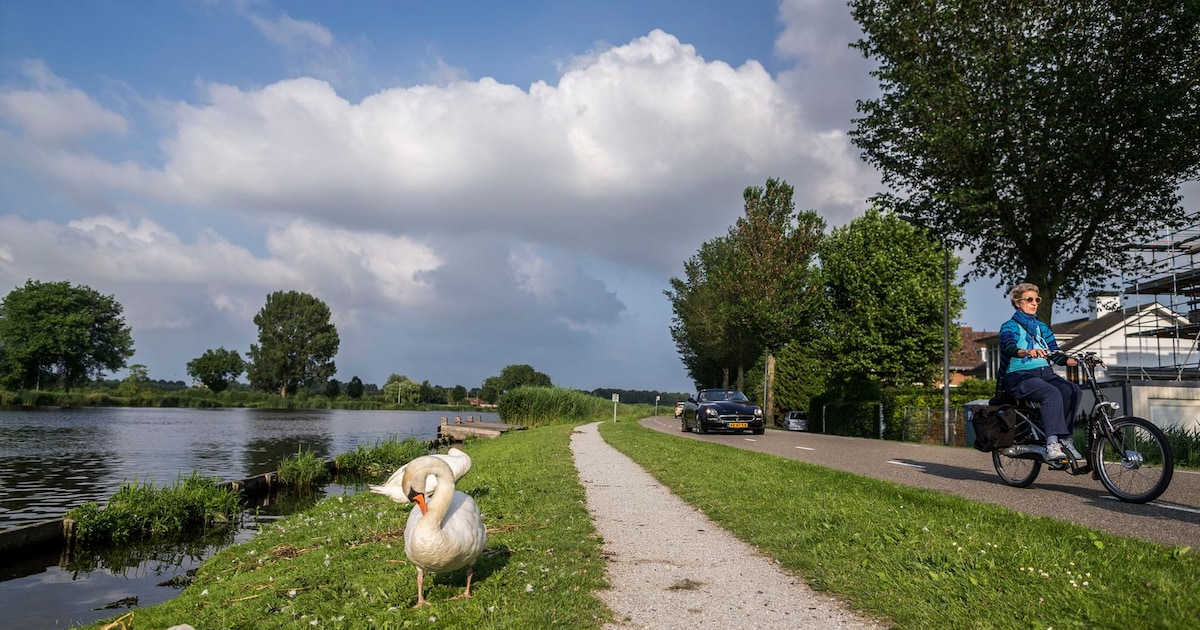 Pittoresk, groen en ontspannen: 8 leuke fietsroutes in en rond Amsterdam