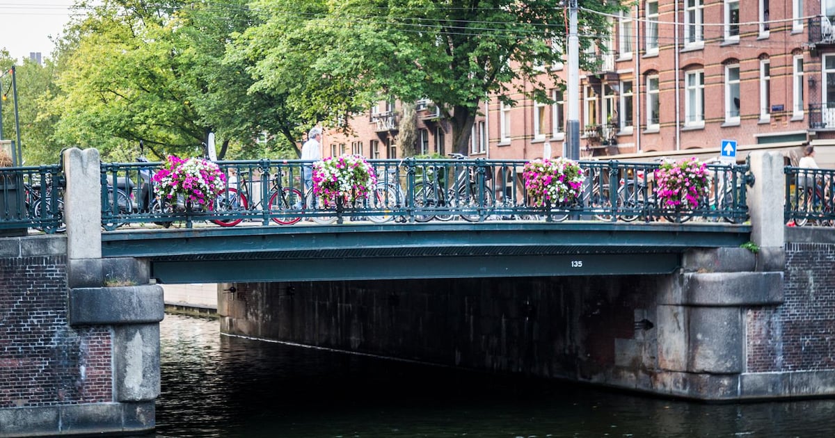 Brug vernoemd naar kunstavonturier Ritsaert ten Cate