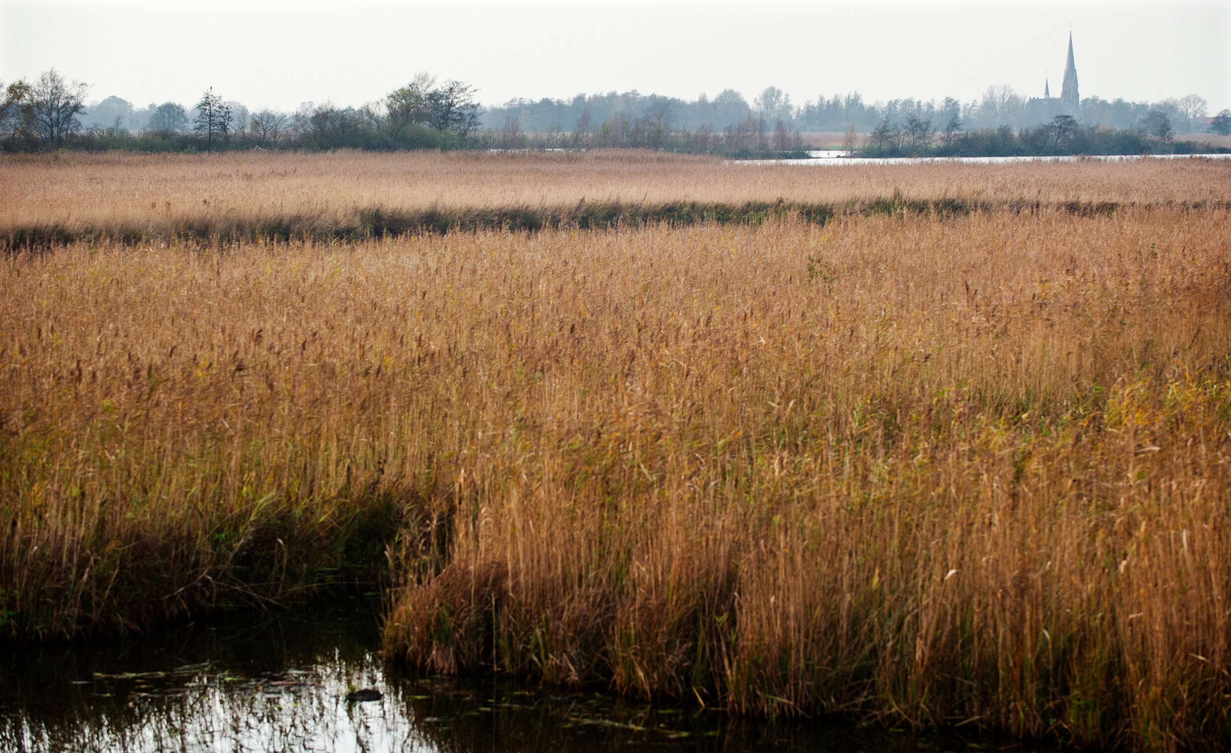 Natuurmonumenten Natuur Staat Er Bedroevend Slecht Voor Het Parool