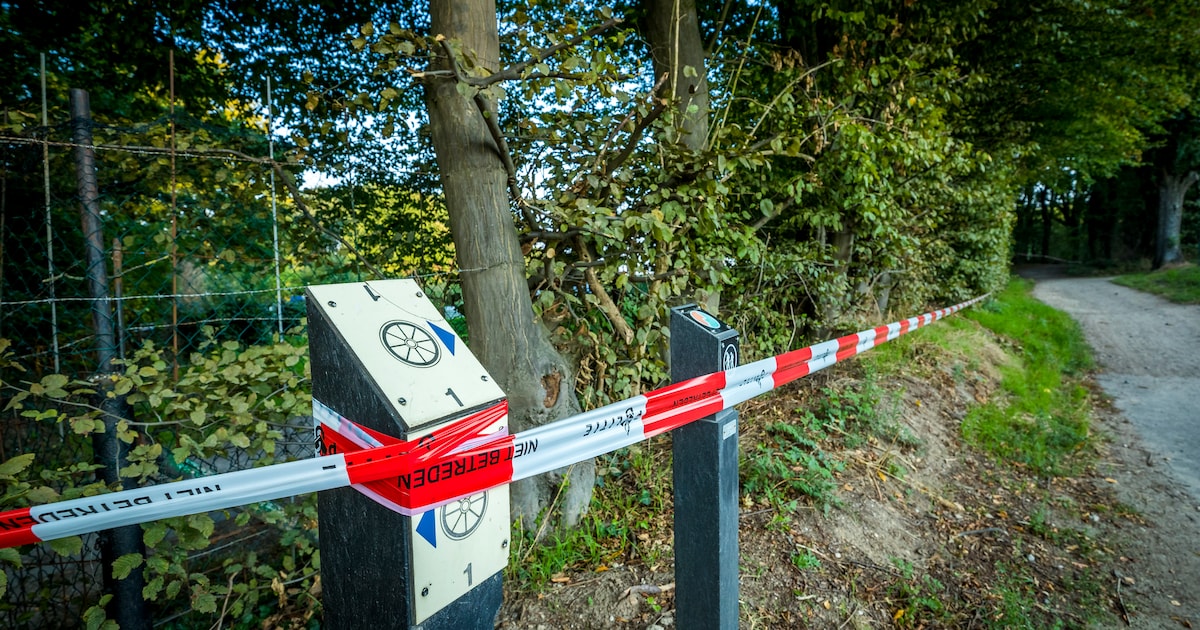 Verdachte Jos B.: ‘Nicky Was Al Overleden Toen Ik Hem Vond’ | Het Parool