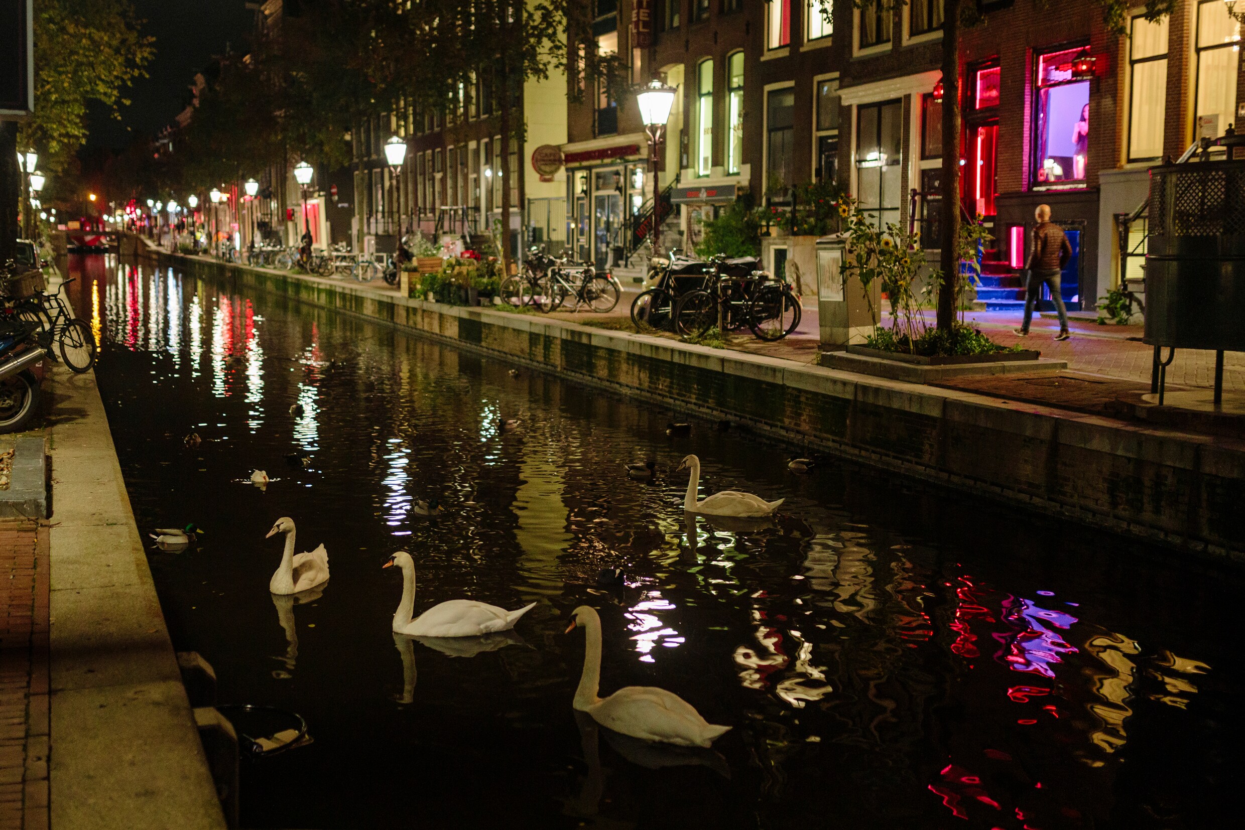 Teruglezen: Debat in gemeenteraad over toekomst binnenstad