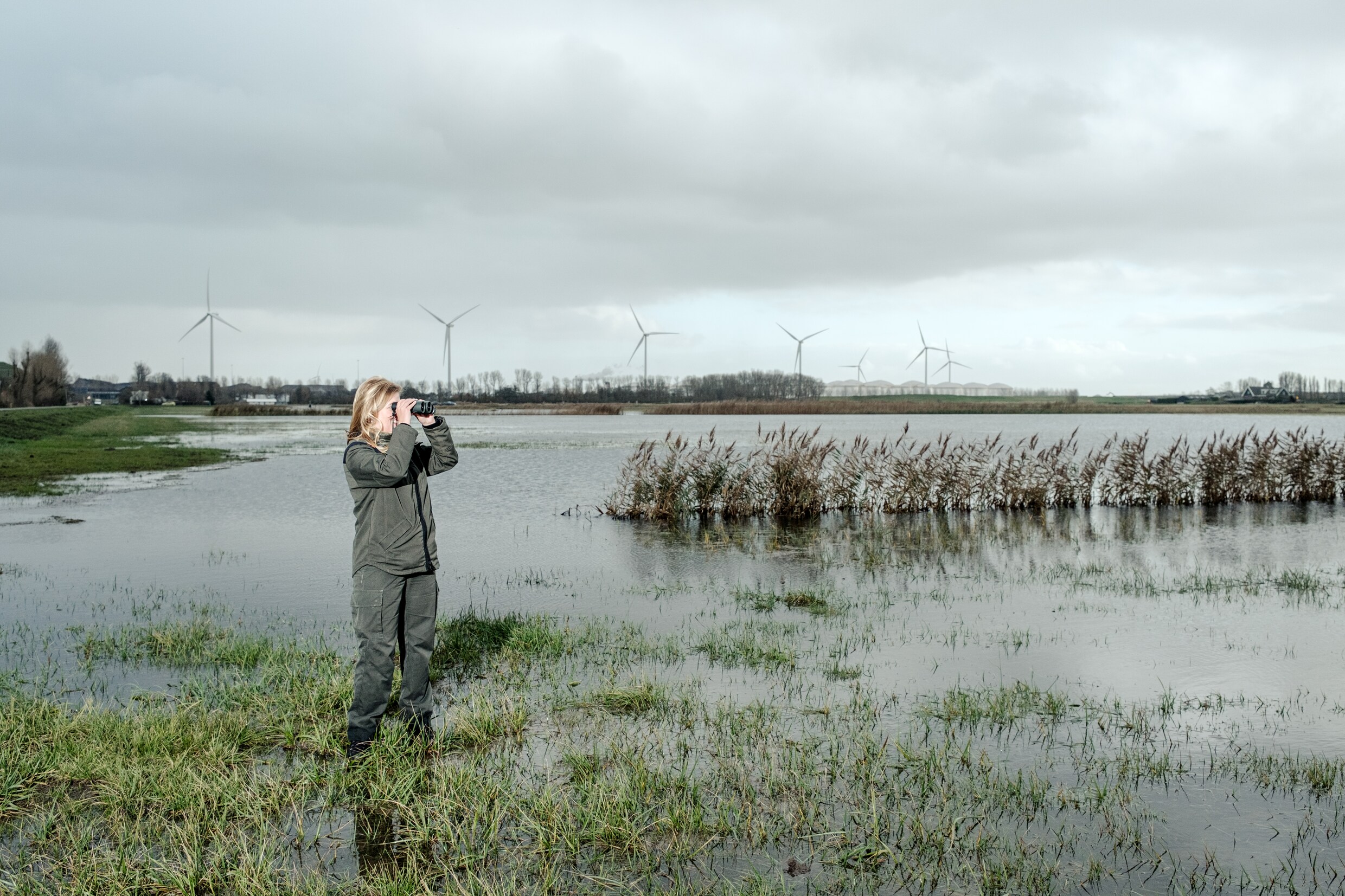 Amsterdam is een natuurgebied rijker, tot de haven meer ruimte nodig ...