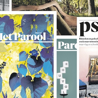 Vacancy: reporting intern, PS or arts at the Het Parool editorial office