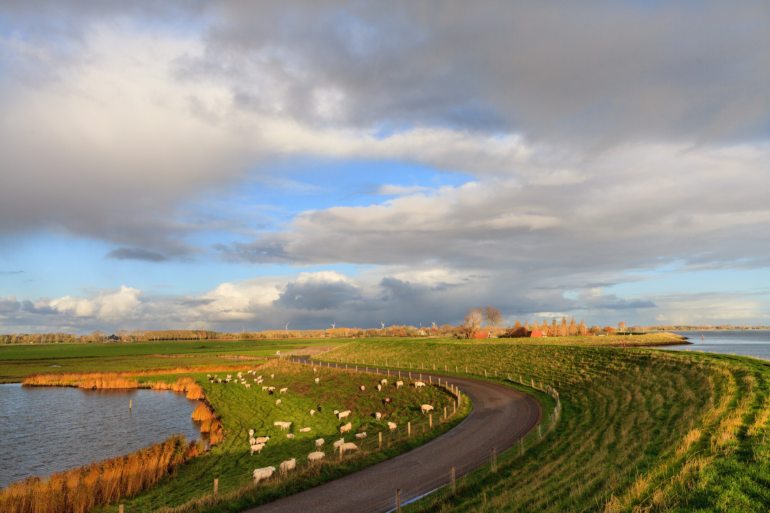 Deel Van Een Schep Gevonden Bij Zoektocht Lichaam Sumanta Bansi | Het ...