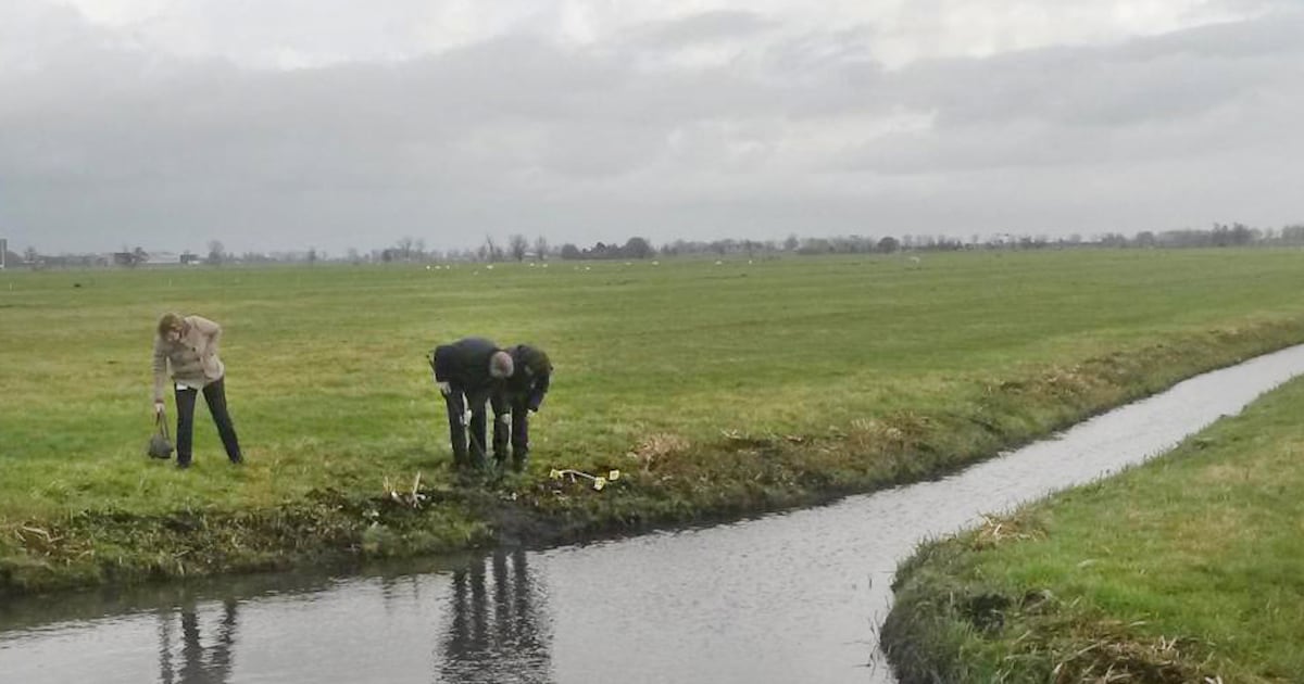OM wil 20 jaar voor voortvluchtige Gerel Palm