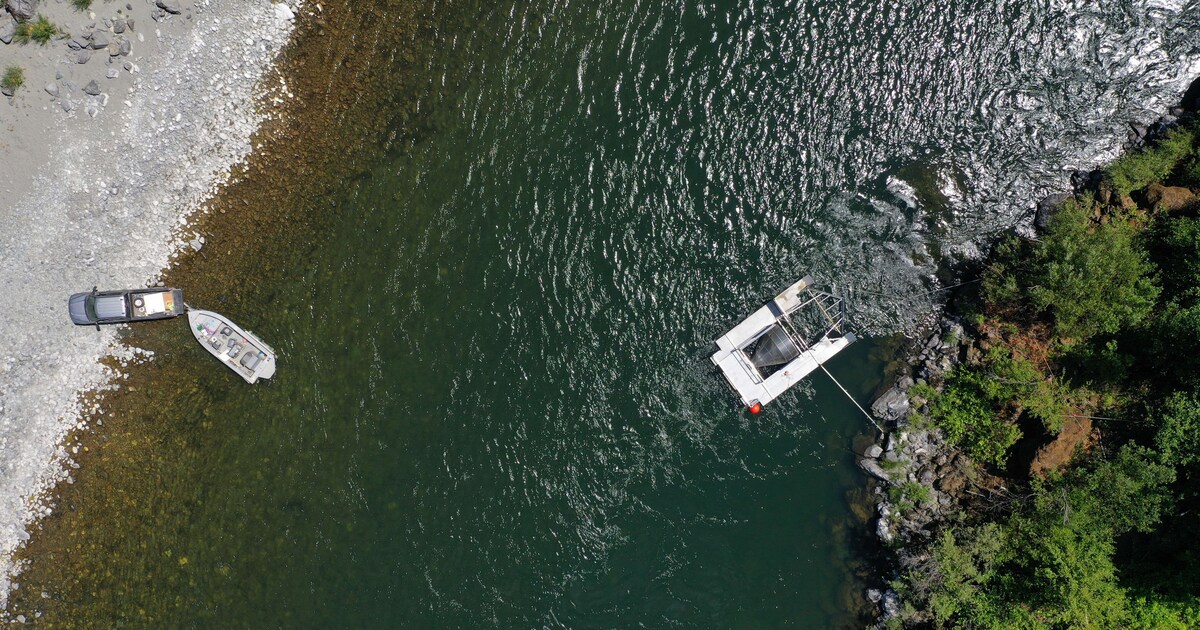 Megadroogte in Californië leidt tot massale vissterfte en dorre akkers: ‘Onze gemeenschap sterft’
