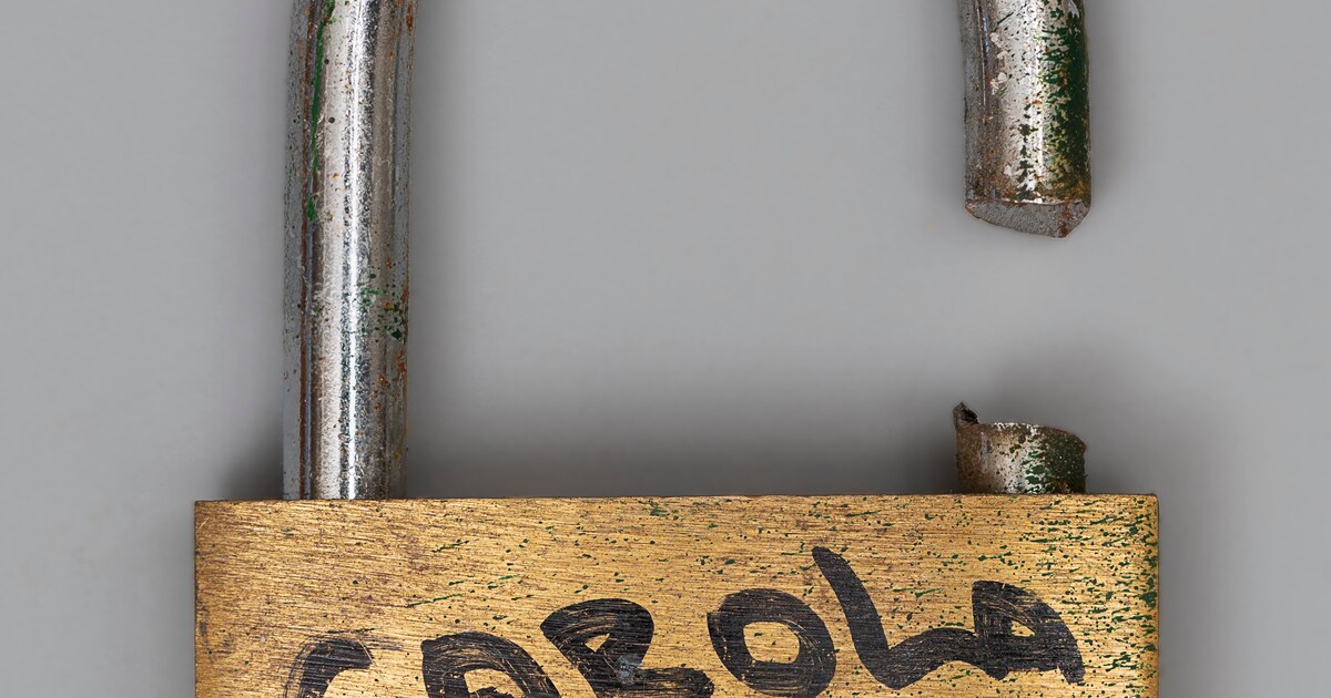 Fotograaf Floris Kok nam een kliko vol liefdesslotjes mee naar huis: ‘God, ach, het is ook weer scha