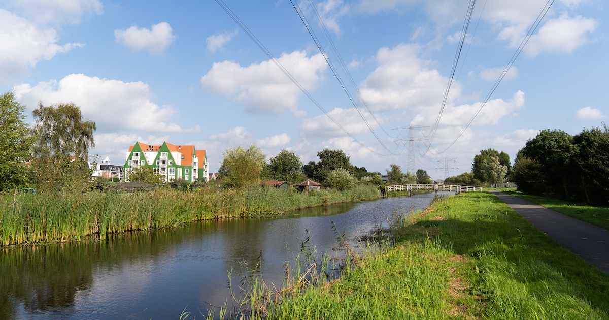 Landsmeer bestaat 700 jaar: ‘Vroeger was alles beter, behalve het bier’