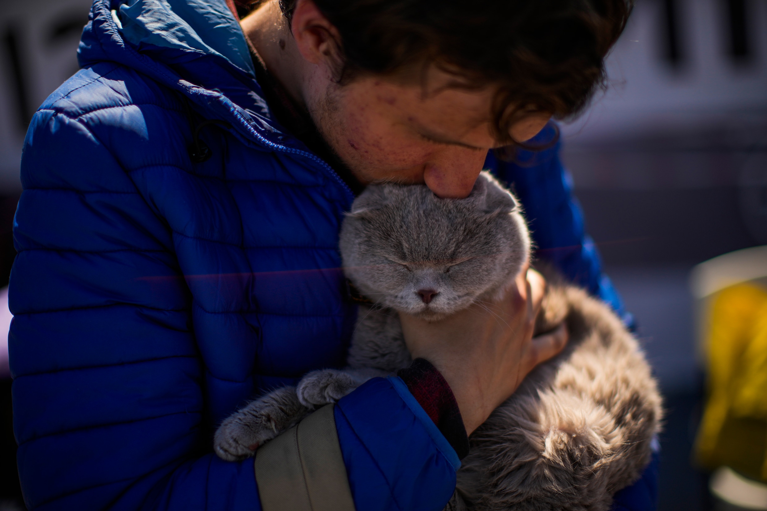 Dierenorganisaties Vragen Hulp Bij Opvang Oekraïense Huisdieren | Het ...