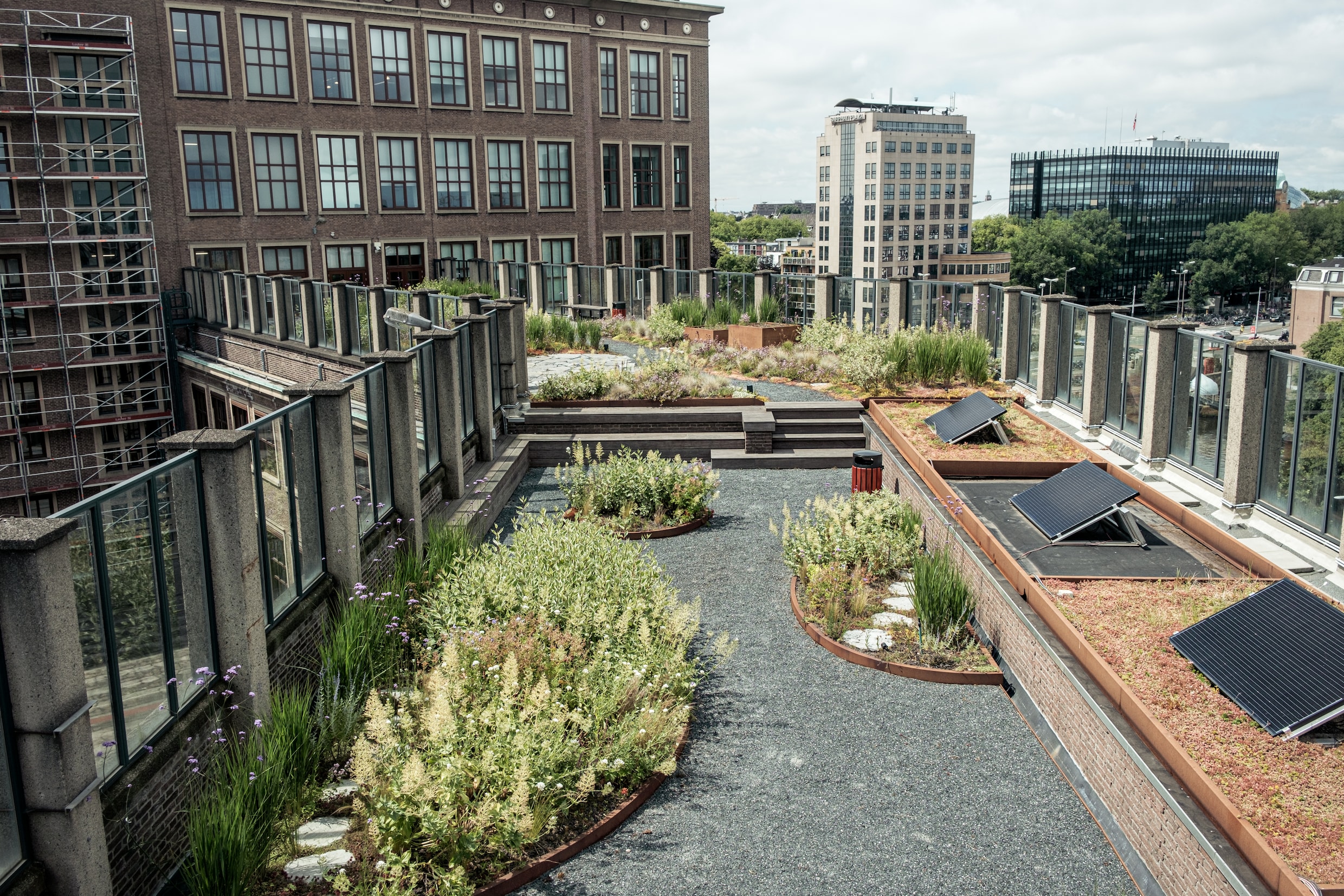 In Amsterdam worden daken wel vergroend, maar dat neemt niet weg dat de dieren in de stad moeilijker kunnen overleven.