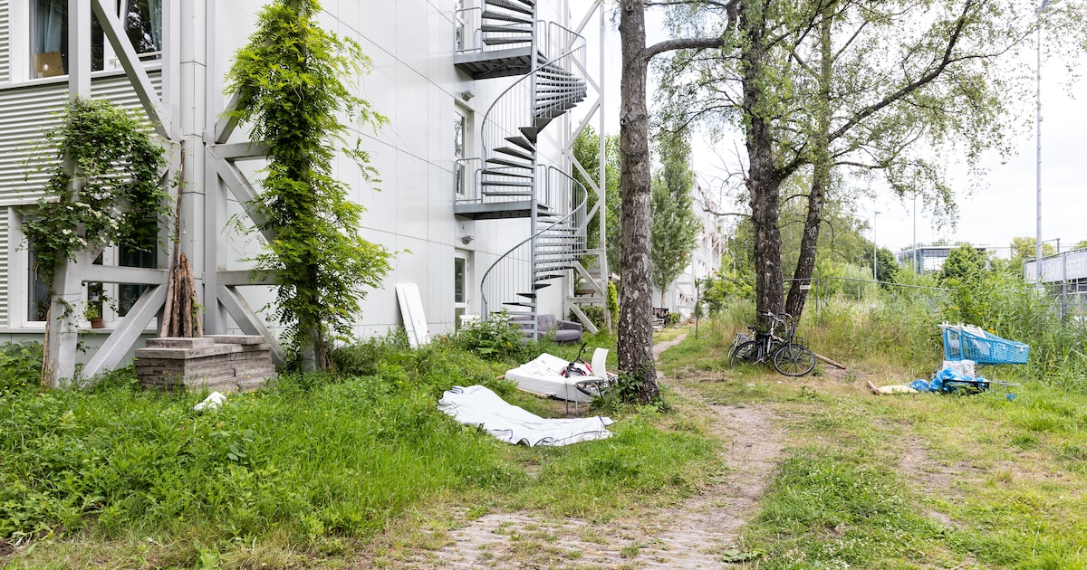 Na vele incidenten wilde Stadgenoot stoppen met Stek Oost, waar statushouders en jongeren samenwonen