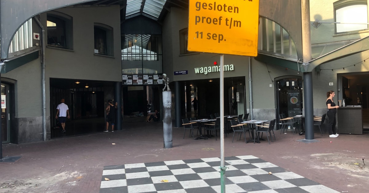 Gemeente Onderzoekt Met Proefsluiting Of Schaakbord Max Euweplein ...