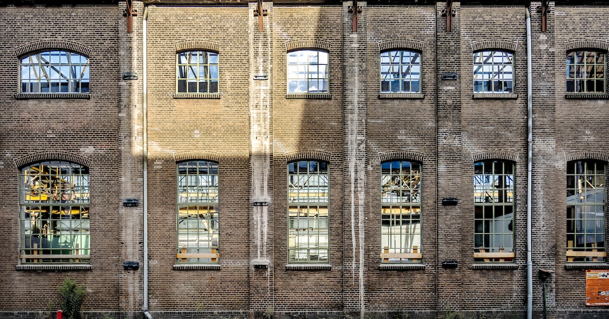 Groot Zweeds start-upfonds Norrsken naar Amsterdam, mede dankzij subsidie gemeente: ‘Ons rendement i