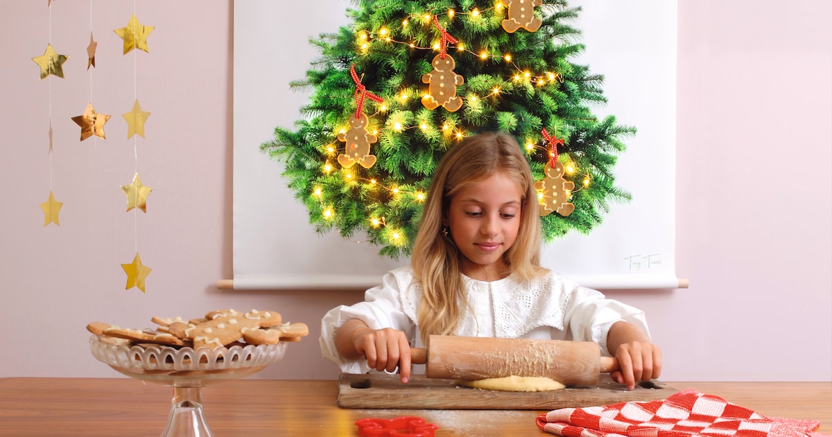 Kerstboom van stof ‘Ik vind het raar dat een boom als wegwerpartikel