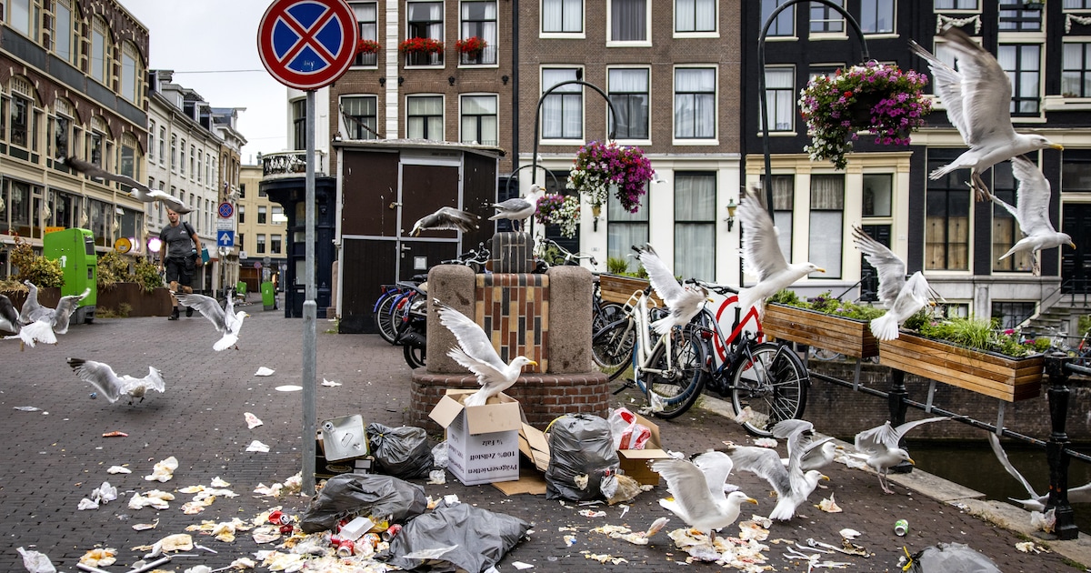 Extra handhaving moet ervoor zorgen dat snackbars in de Damstraat straks écht zelf hun troep