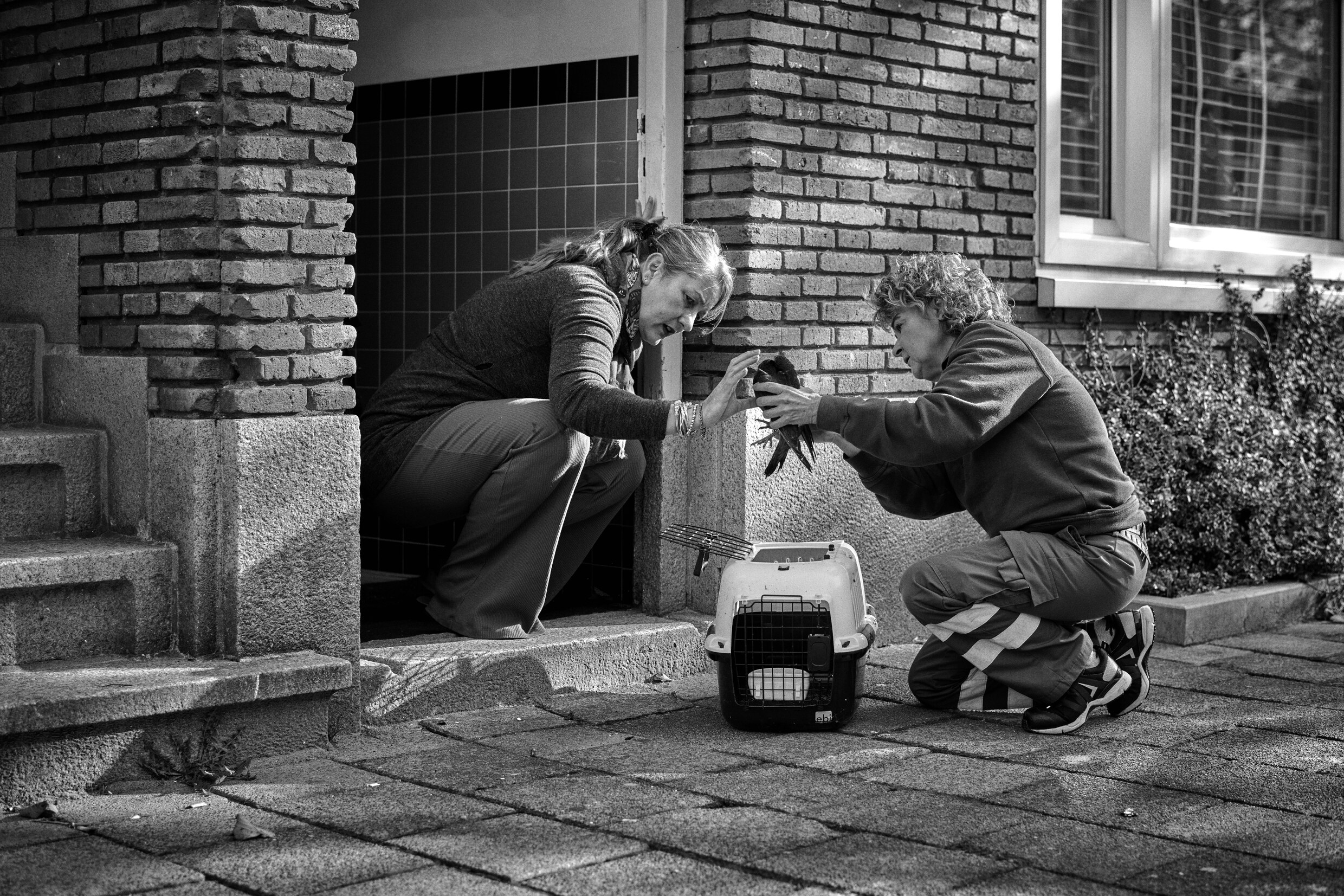 Van dode dobermanns tot de snippenregen fotograaf Marcel Bakker reed