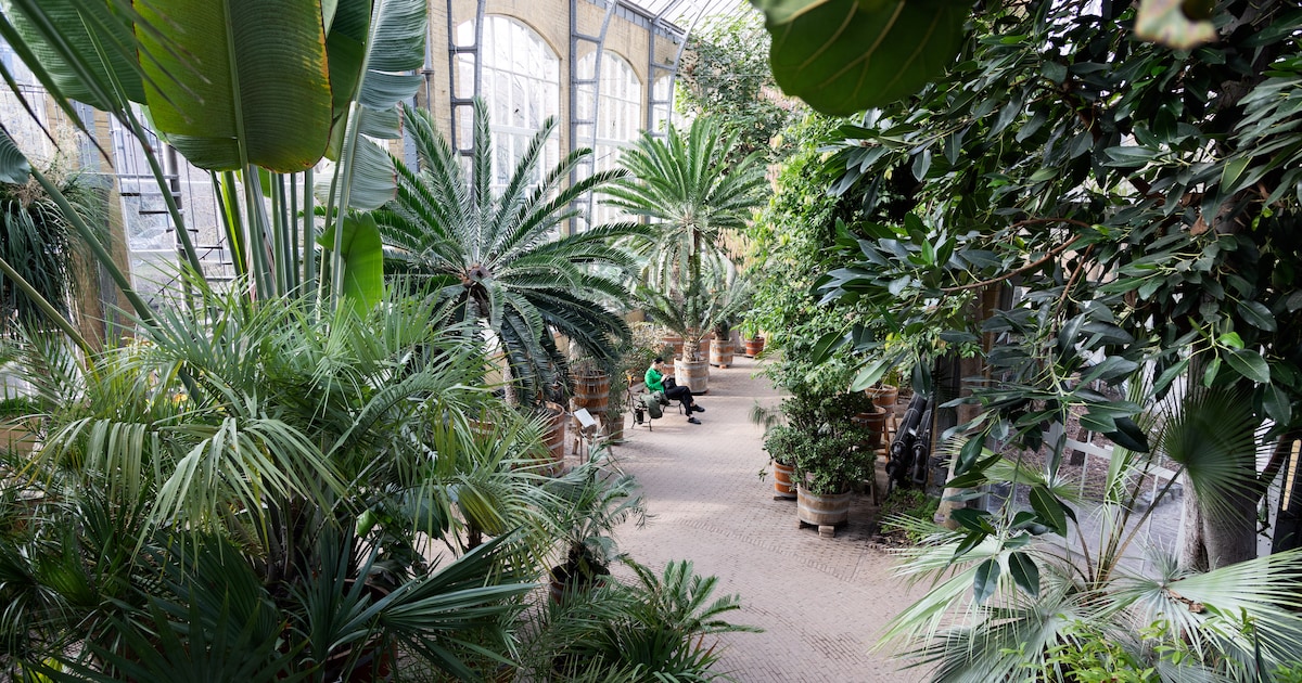 De drukte ontvluchten? Hier vier je een rustige Koningsdag in Amsterdam
