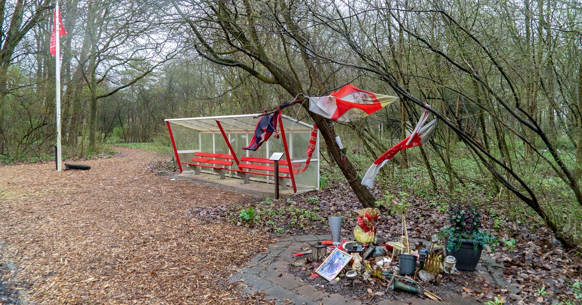 Van Ajaxgras tot ons eigen Père-Lachaise: 6 bijzondere begraafplaatsen in Amsterdam