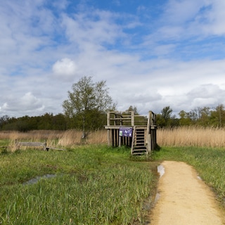 Should the Amsterdam region also worry about wildfires? ‘Our soil is much wetter than in the Veluwe’