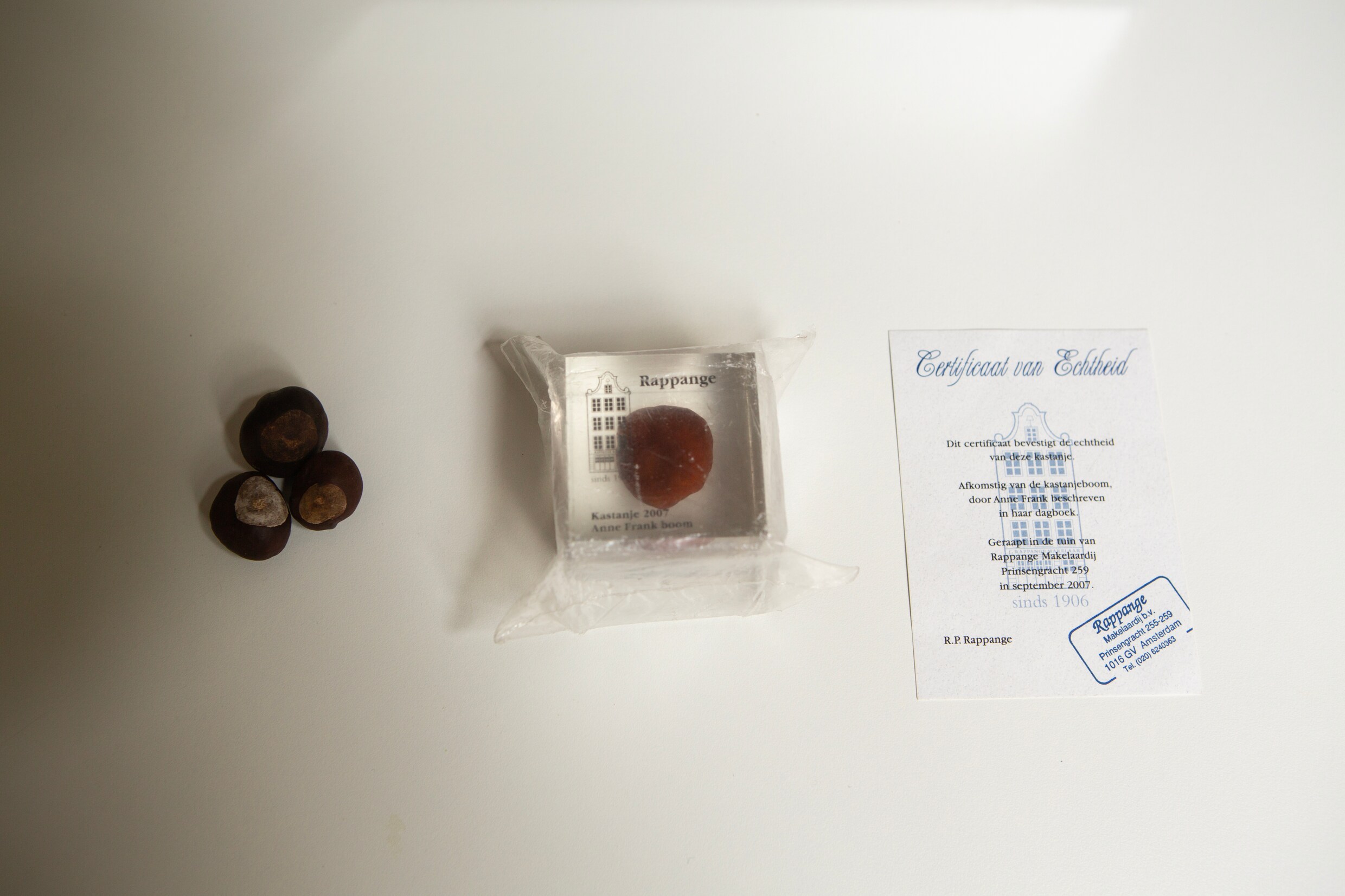 Ook uit de verzameling van Stengs: v.l.n.r. kastanjes van de Anne Frankboom, een in plastic gegoten kastanje van de boom en een echtheidscertificaat, uitgegeven door makelaar Rob Rappange.