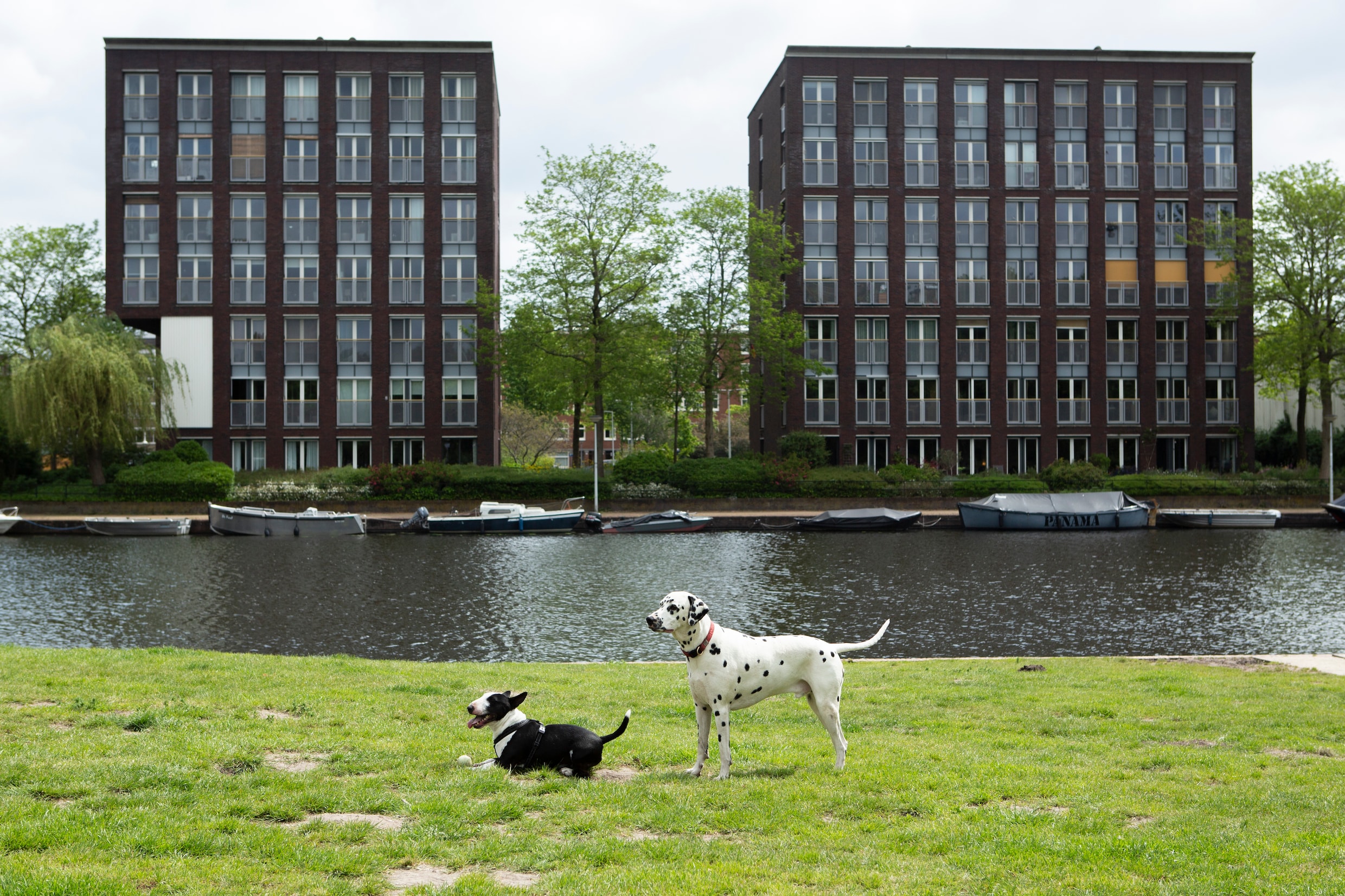 Pasen 2024 in Amsterdam: 9 x de leukste paasuitjes met kinderen, van ...