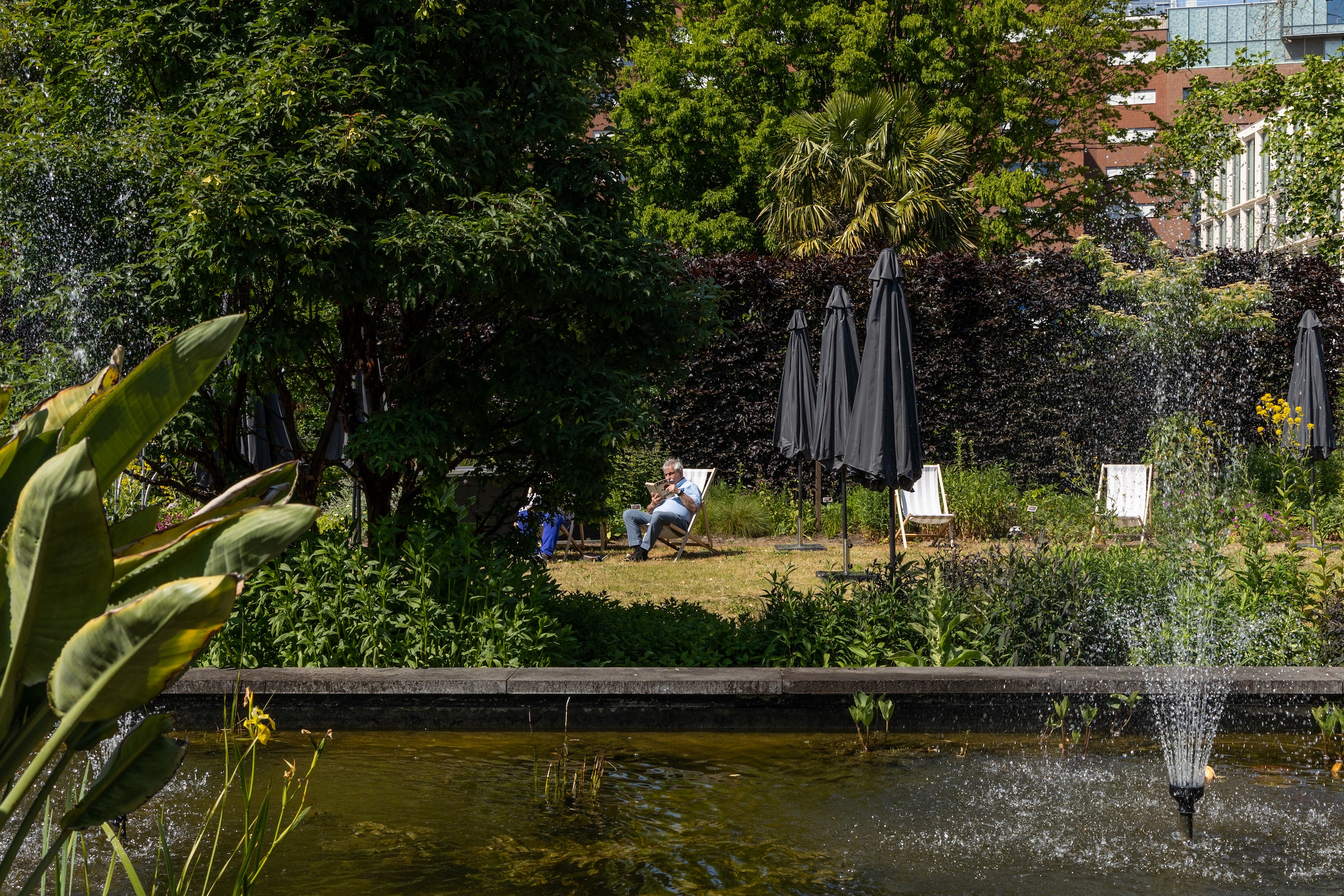 6x de mooiste openbare tuinen van Amsterdam: groene oases, bloemen en ...