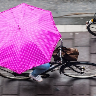 6 things to do in Amsterdam when it rains