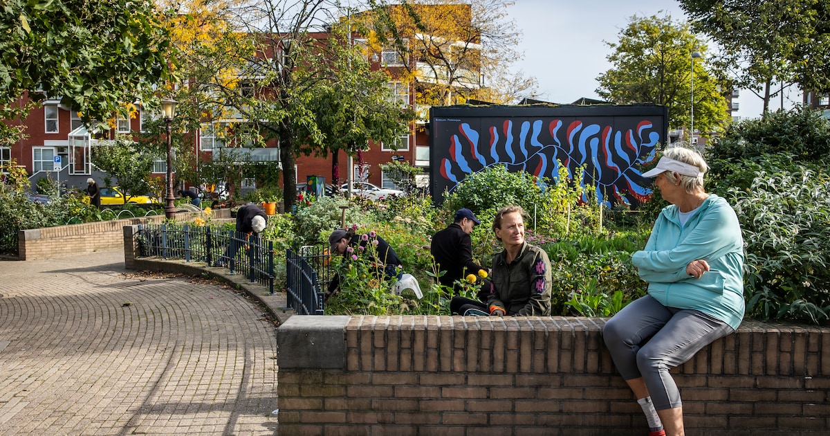 Opinie: ‘Onze buurtmarkt in de Kinkerbuurt dreigt te verdwijnen door ...