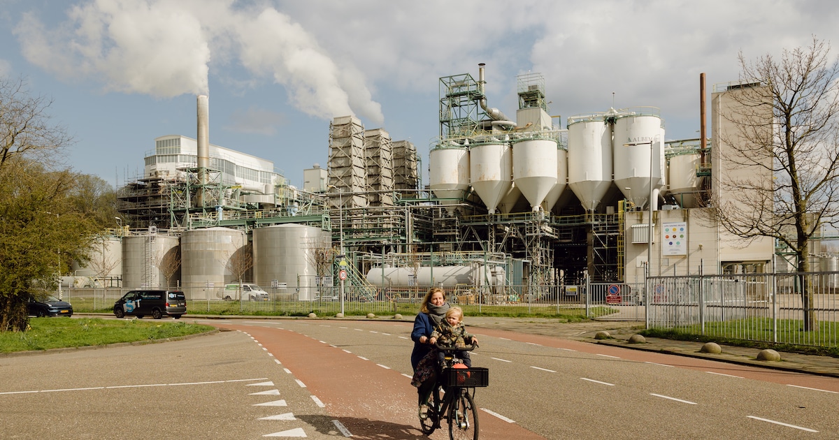 Bouwplannen voor 6500 woningen in Hamerkwartier Amsterdam-Noord weer op koers na compromis met chemi