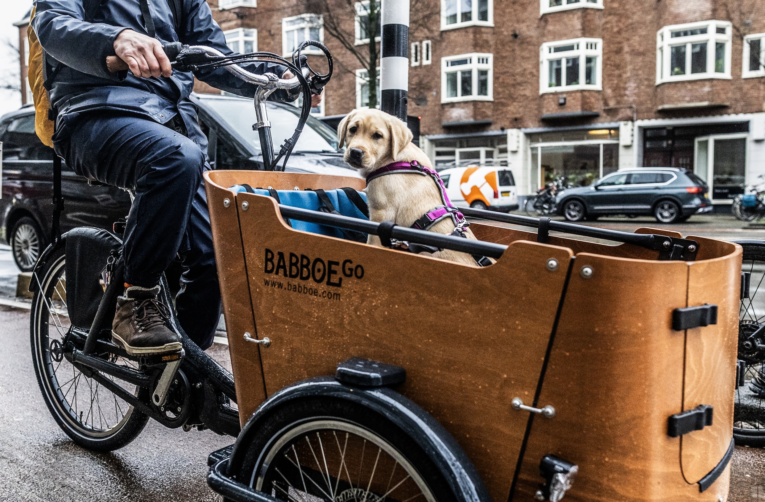 Babboe roept 22.000 bakfietsen terug om veiligheidsrisico’s | Het Parool