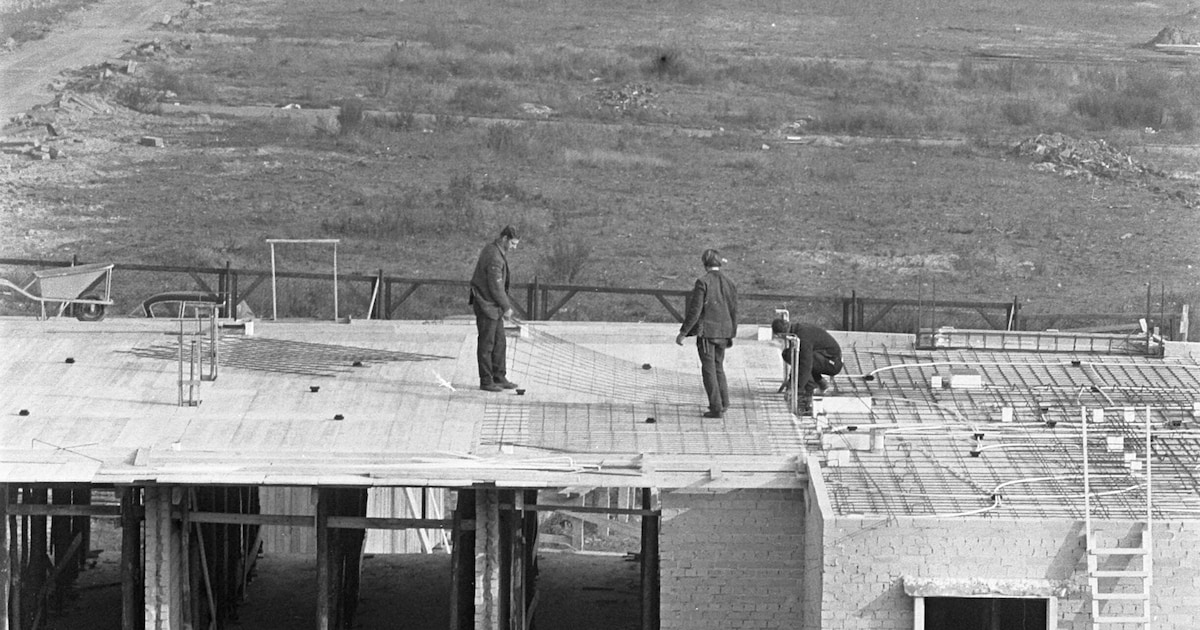 Was Amsterdam better in the past? ‘In many ways, the city is better off now: cleaner, safer, and mor