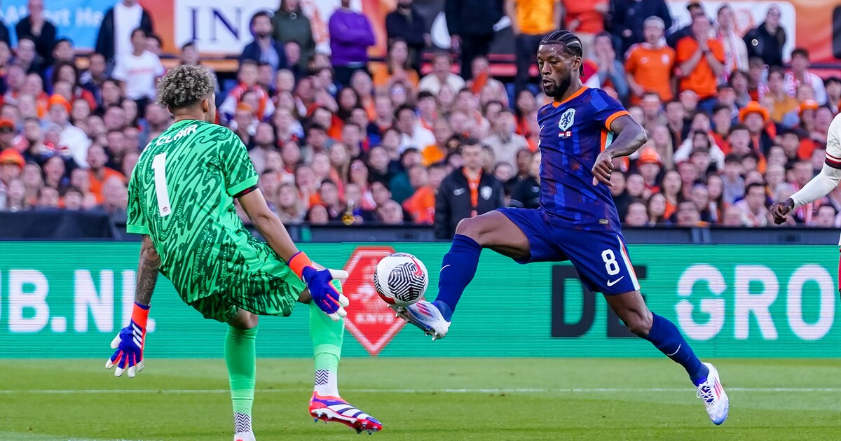 Georginio Wijnaldum: ‘Bij kritiek van buitenaf vormden we bij Oranje soms een schild, dan waren we t