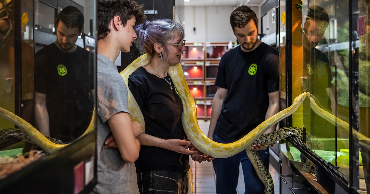 Ook deze reptielenopvang ziet meer verwaarloosde dieren door armoede ...