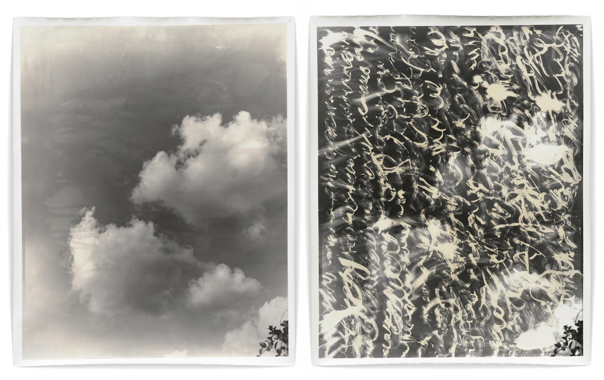 MERCY TREES オランダ写真家　Hans van Ommeren 写真集 Awoiska van der Molen toont in Huis Marseille diffuse Japanse