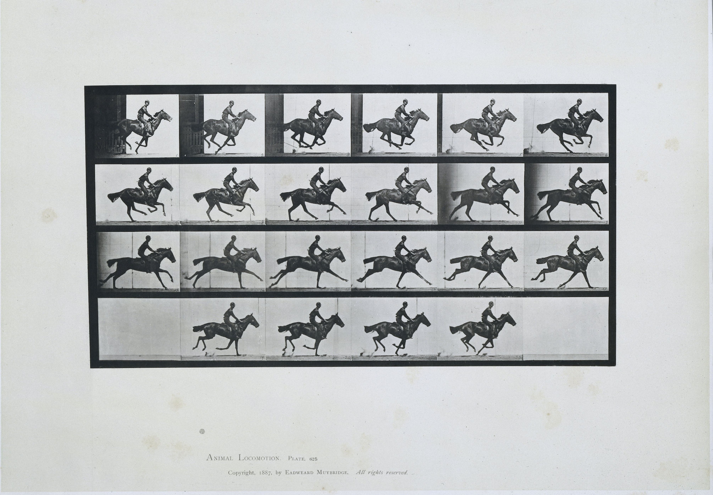 Eadweard Muybridge en Étienne-Jules Marey waren de 'wegbereiders