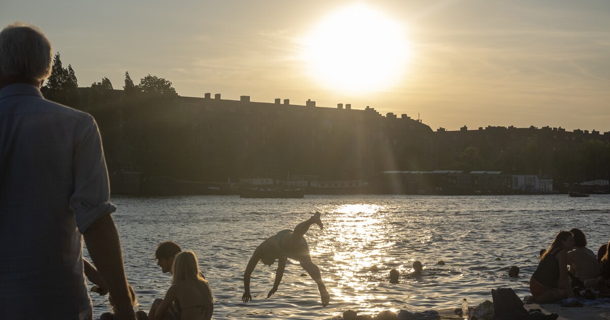 Kan die rattenpies in de grachten kwaad? En nog 9 vragen over zwemmen in het Amsterdamse open water