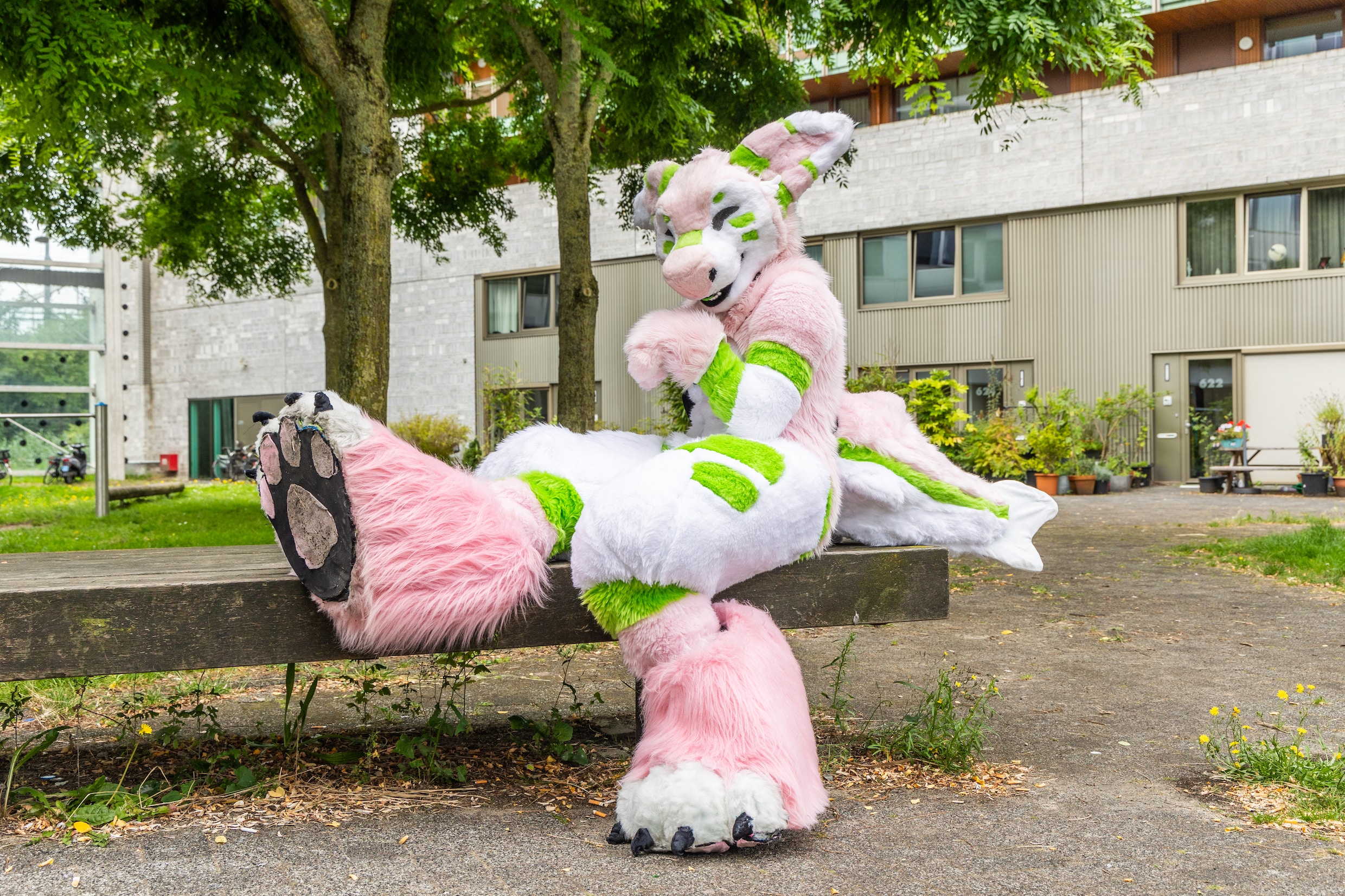 Deze Amsterdamse ‘furries Vonden Gelijkgestemden Maar Ook Onbegrip 