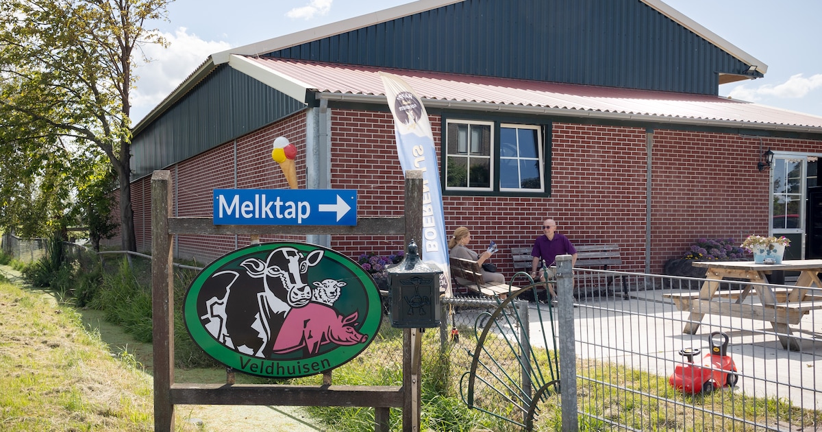 Van geiten aaien, zelf melk tappen tot de lekkerste appels en peren van ’t land: zeven boerderijwink