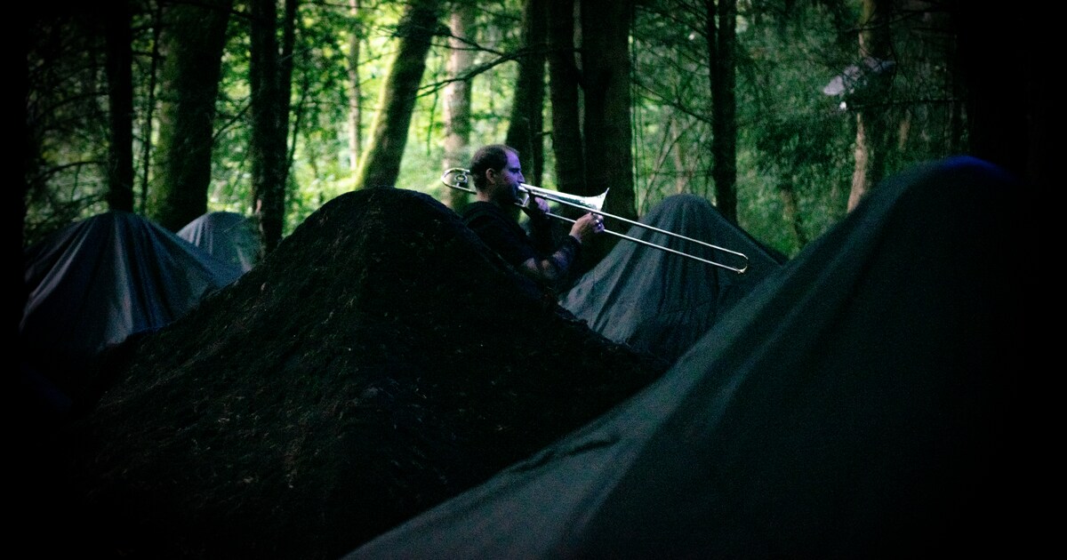 Het bos als decor blijft subliem: Bosfest biedt intieme gesprekken en een theatrale biecht tussen de