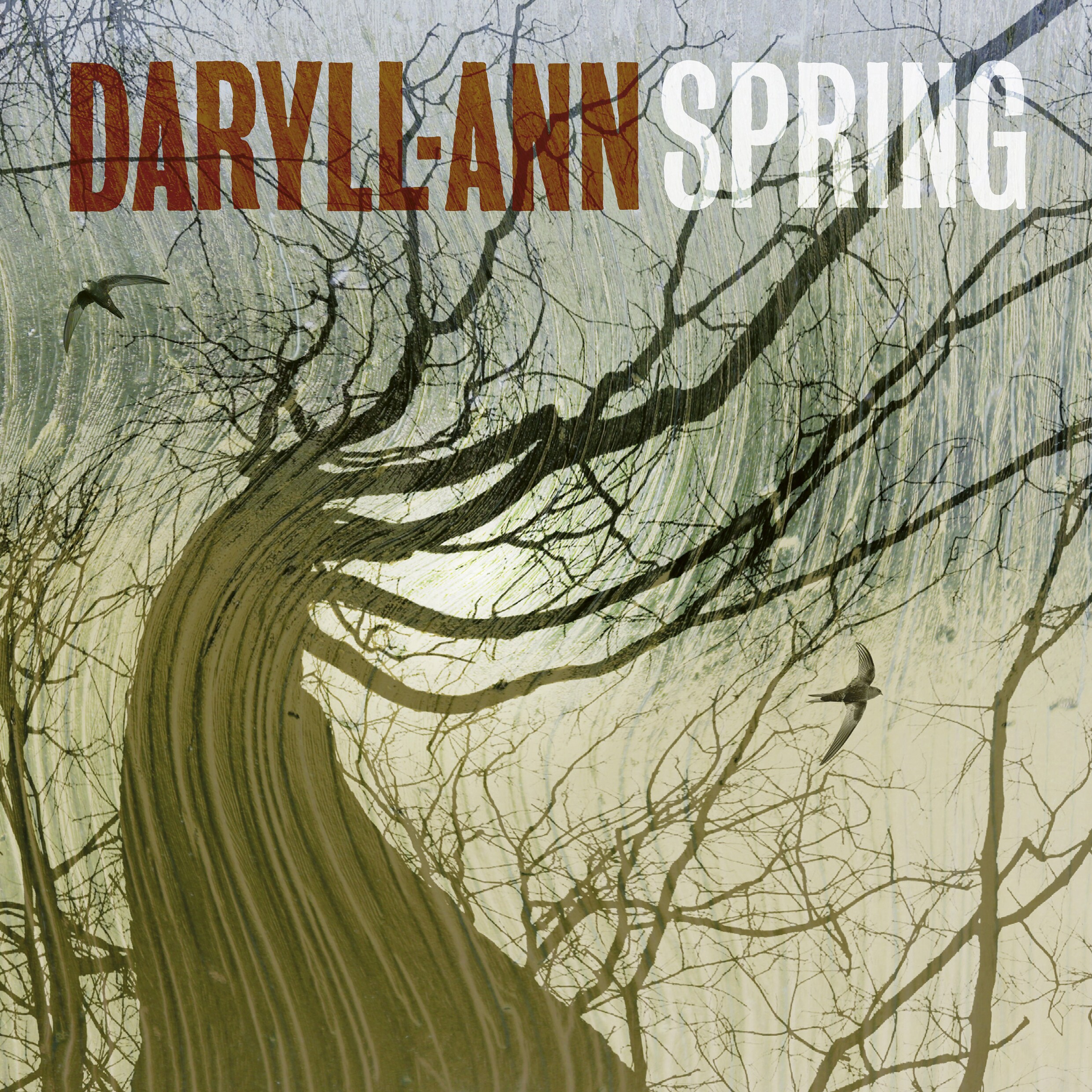 Recensie Spring: Gitaarliefhebbers kunnen na twintig jaar hun hart ...