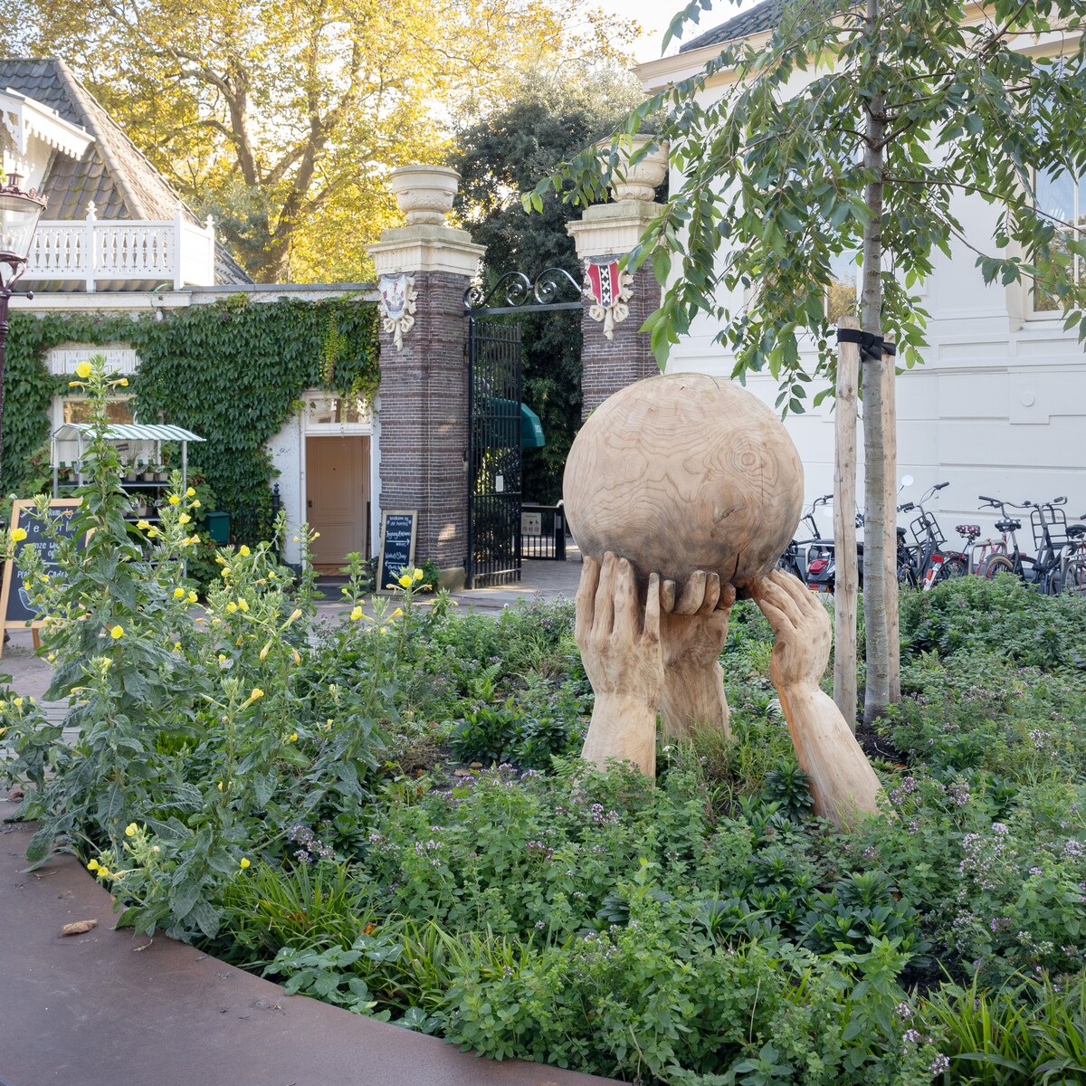 Beelden gemaakt van omgewaaide bomen te zien in route door