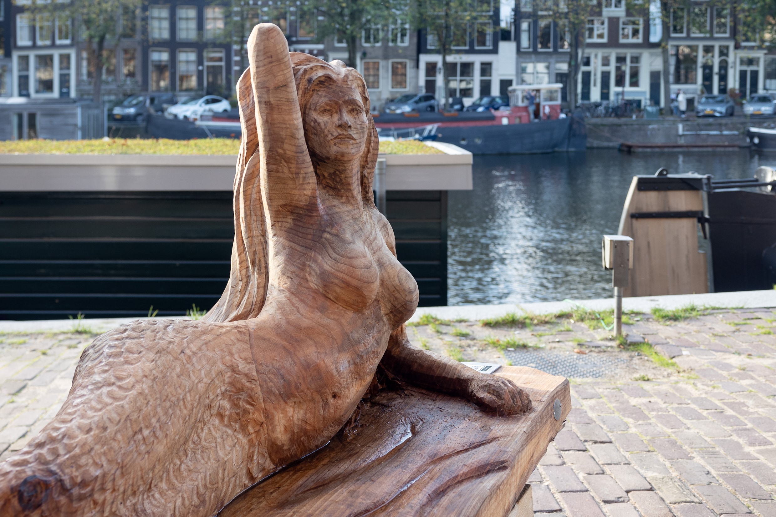 Beelden gemaakt van omgewaaide bomen te zien in route door