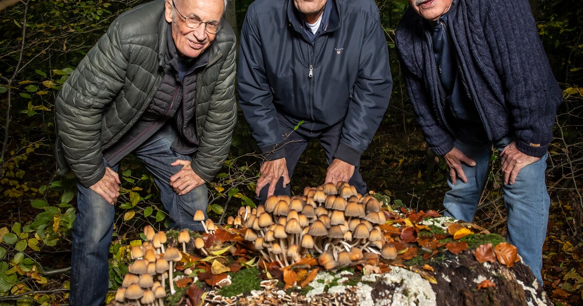 Deze heren op leeftijd schreven over 200 jaar natuurgeluk: ‘Je wilde naar buiten, daar gebeurde het’